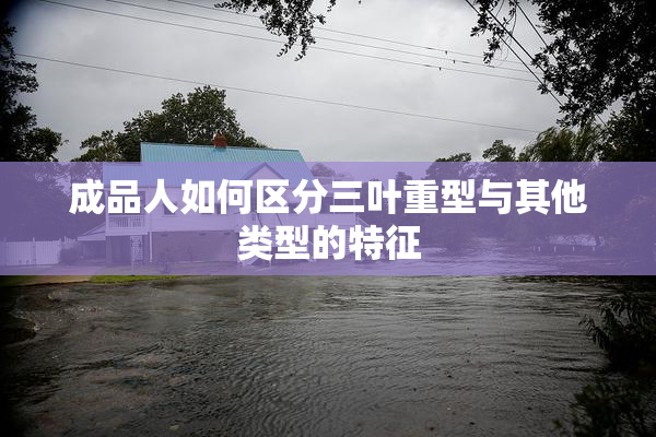 成品人如何区分三叶重型与其他类型的特征