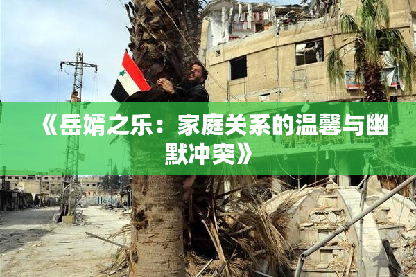 《岳婿之乐：家庭关系的温馨与幽默冲突》