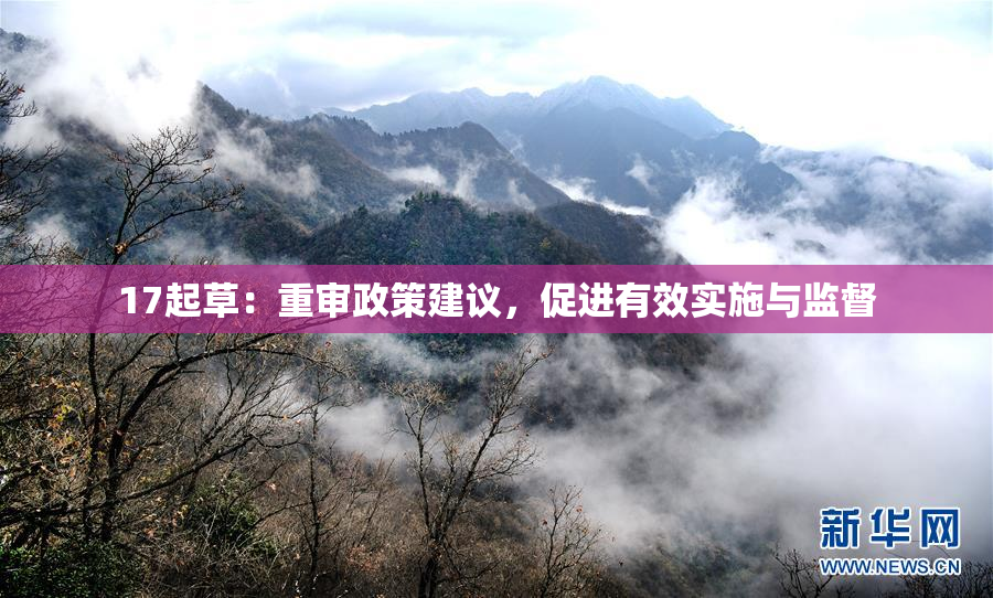 17起草：重审政策建议，促进有效实施与监督