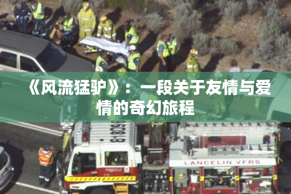 《风流猛驴》：一段关于友情与爱情的奇幻旅程