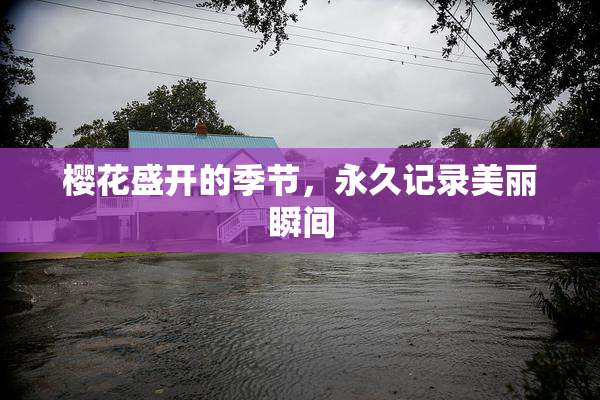 樱花盛开的季节，永久记录美丽瞬间