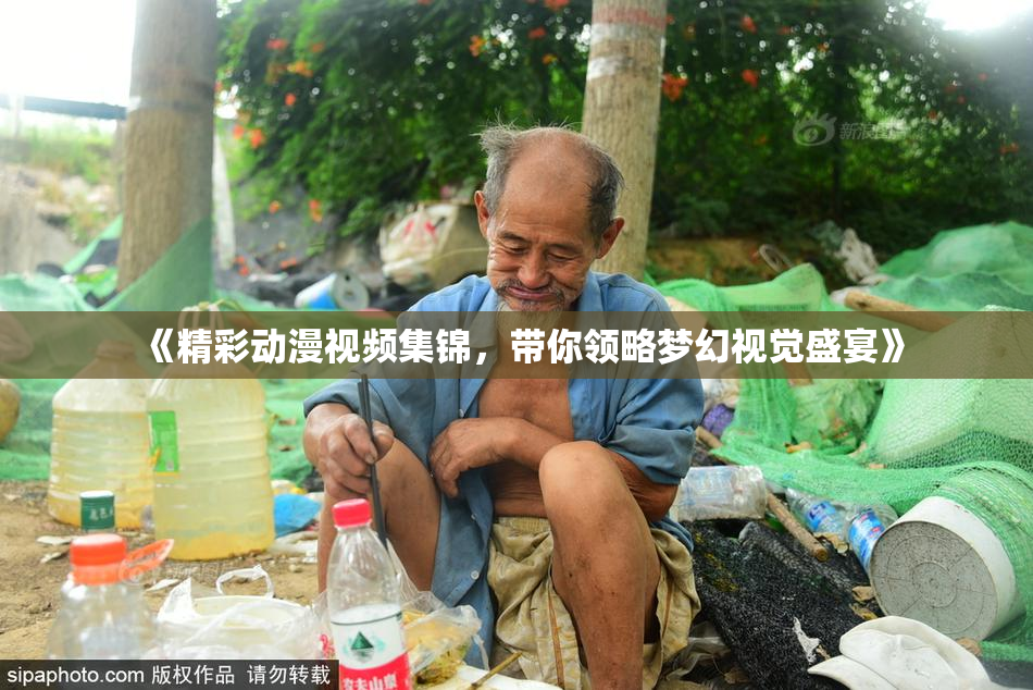 《精彩动漫视频集锦，带你领略梦幻视觉盛宴》