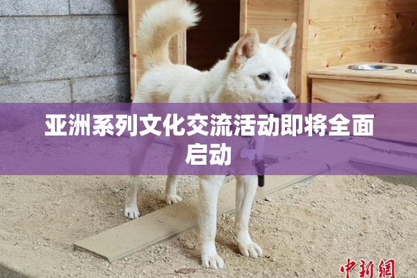 亚洲系列文化交流活动即将全面启动