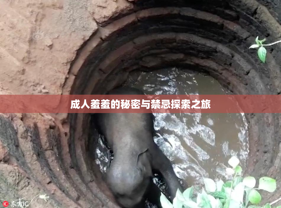 成人羞羞的秘密与禁忌探索之旅