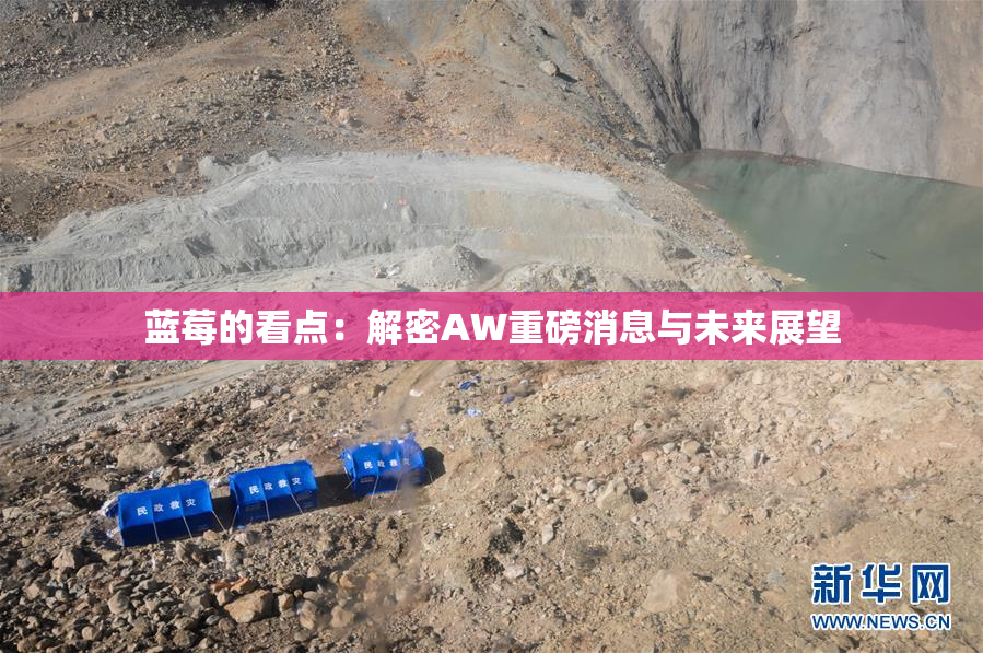 蓝莓的看点：解密AW重磅消息与未来展望