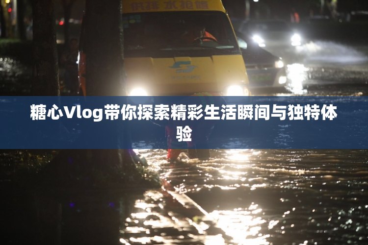 糖心Vlog带你探索精彩生活瞬间与独特体验