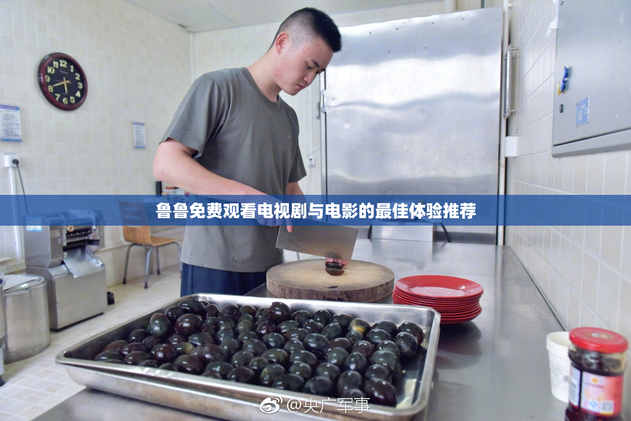 鲁鲁免费观看电视剧与电影的最佳体验推荐