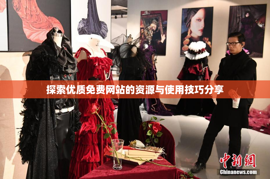 探索优质免费网站的资源与使用技巧分享