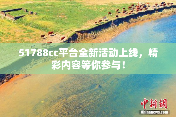 51788cc平台全新活动上线，精彩内容等你参与！