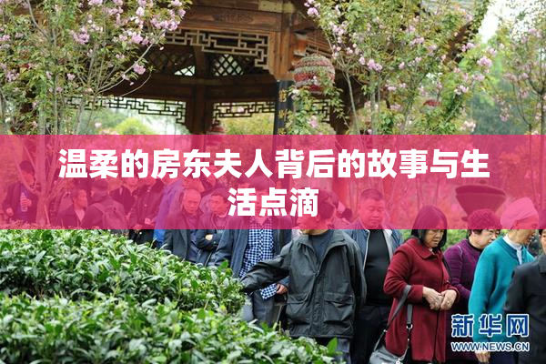 温柔的房东夫人背后的故事与生活点滴