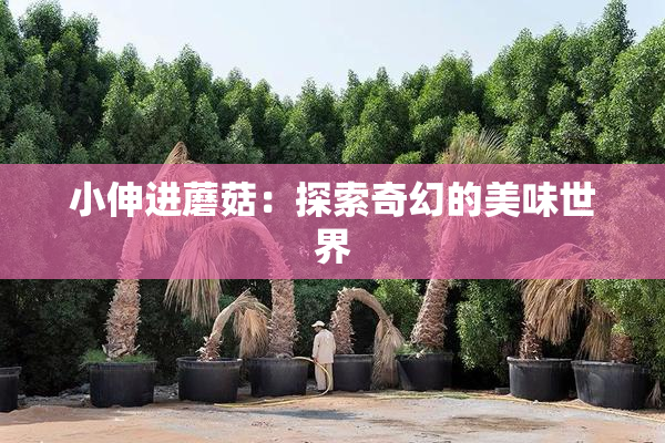 小伸进蘑菇：探索奇幻的美味世界