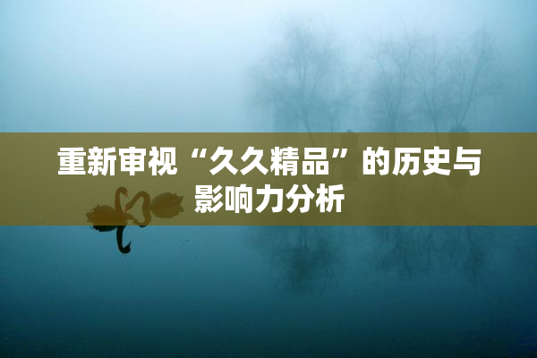 重新审视“久久精品”的历史与影响力分析