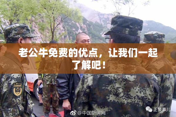 老公牛免费的优点，让我们一起了解吧！