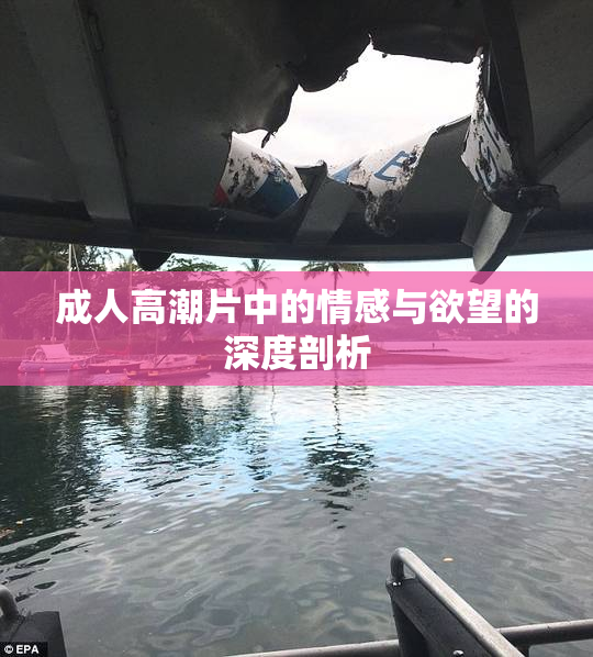成人高潮片中的情感与欲望的深度剖析