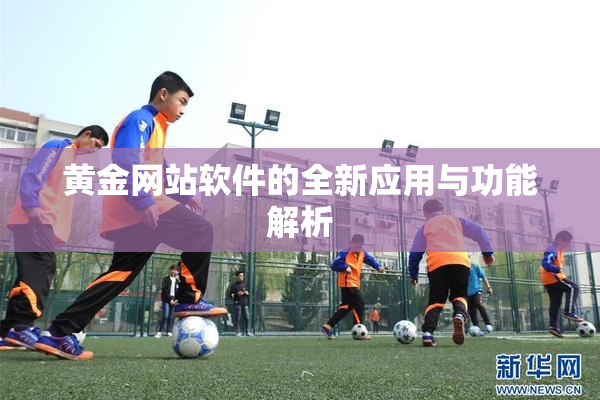 黄金网站软件的全新应用与功能解析