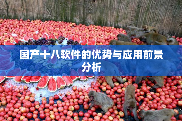 国产十八软件的优势与应用前景分析