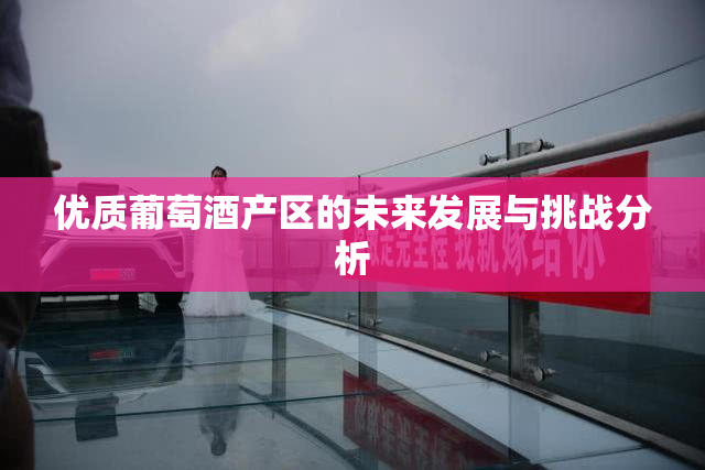 优质葡萄酒产区的未来发展与挑战分析