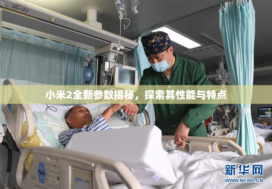 小米2全新参数揭秘，探索其性能与特点
