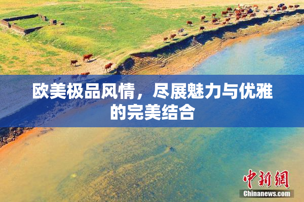 欧美极品风情，尽展魅力与优雅的完美结合