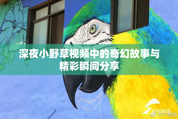 深夜小野草视频中的奇幻故事与精彩瞬间分享