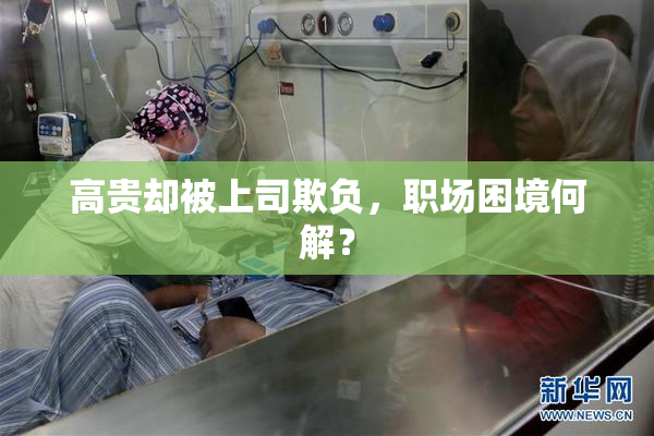 高贵却被上司欺负，职场困境何解？