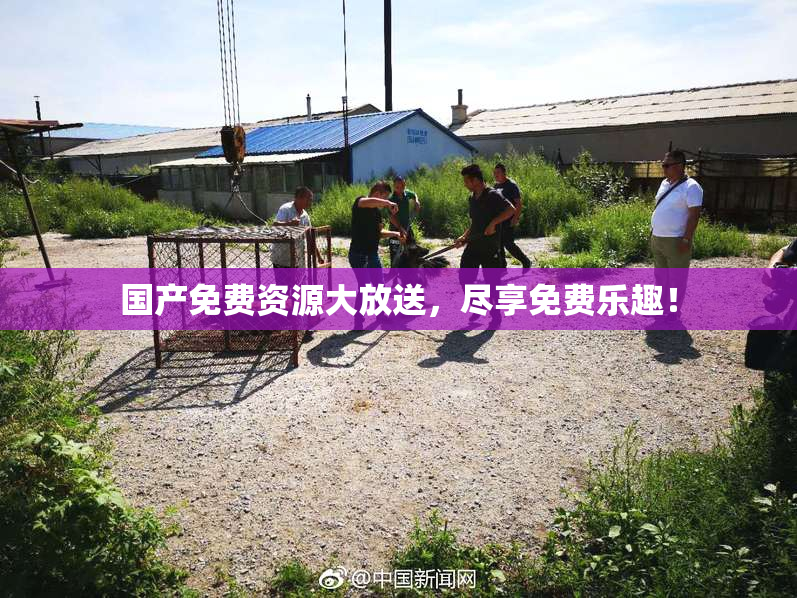 国产免费资源大放送，尽享免费乐趣！