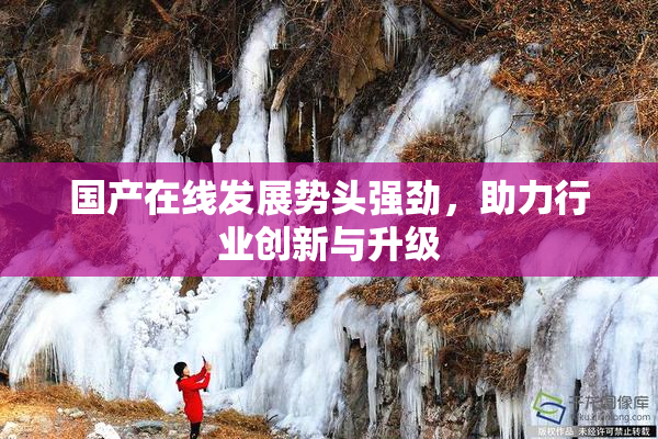 国产在线发展势头强劲，助力行业创新与升级