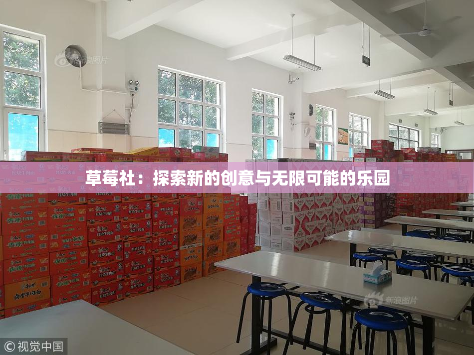 草莓社：探索新的创意与无限可能的乐园