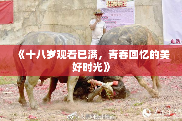 《十八岁观看已满，青春回忆的美好时光》