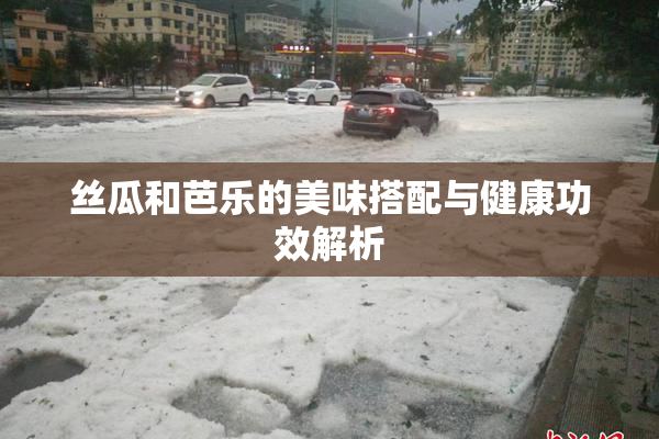 丝瓜和芭乐的美味搭配与健康功效解析