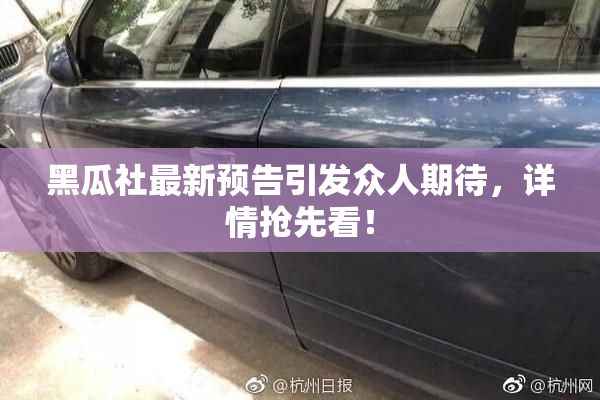 黑瓜社最新预告引发众人期待，详情抢先看！