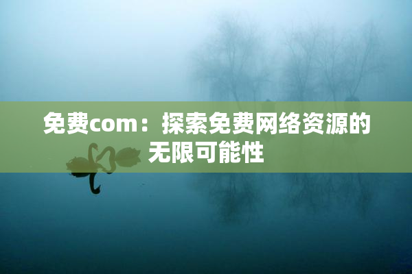 免费com：探索免费网络资源的无限可能性