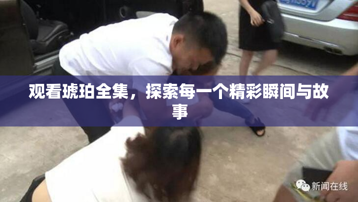 观看琥珀全集，探索每一个精彩瞬间与故事