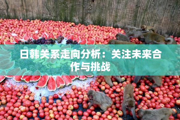 日韩关系走向分析：关注未来合作与挑战