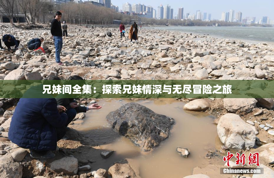 兄妹间全集：探索兄妹情深与无尽冒险之旅