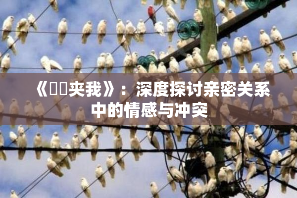 《妺妺夹我》：深度探讨亲密关系中的情感与冲突