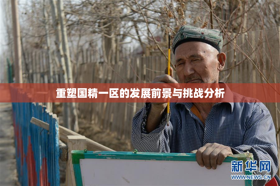 重塑国精一区的发展前景与挑战分析