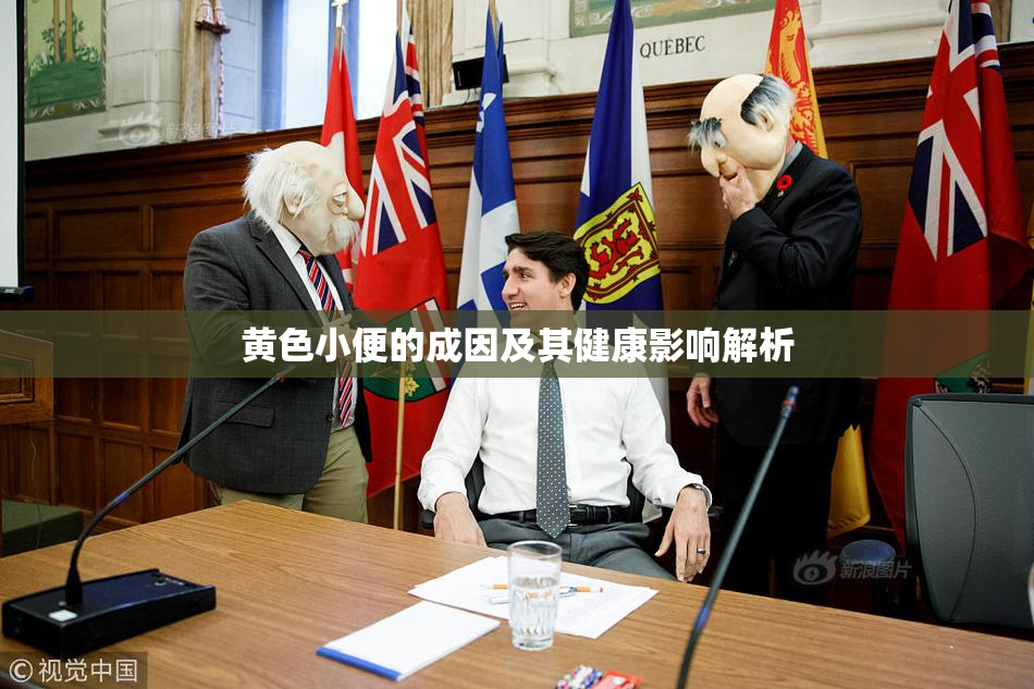黄色小便的成因及其健康影响解析