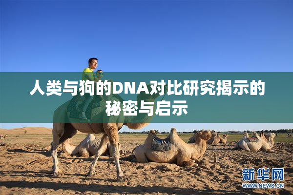 人类与狗的DNA对比研究揭示的秘密与启示
