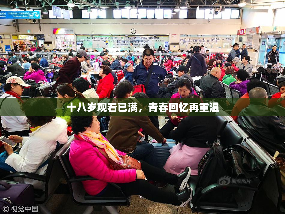 十八岁观看已满，青春回忆再重温