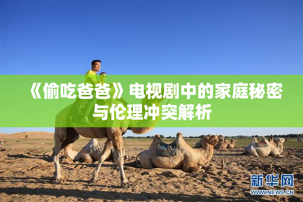 《偷吃爸爸》电视剧中的家庭秘密与伦理冲突解析
