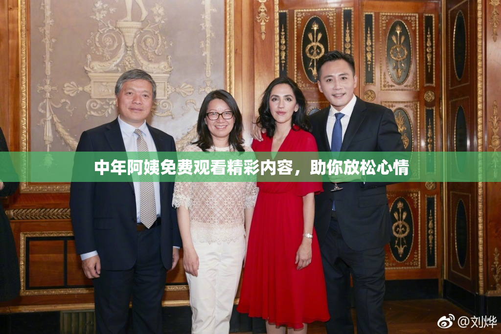 中年阿姨免费观看精彩内容，助你放松心情