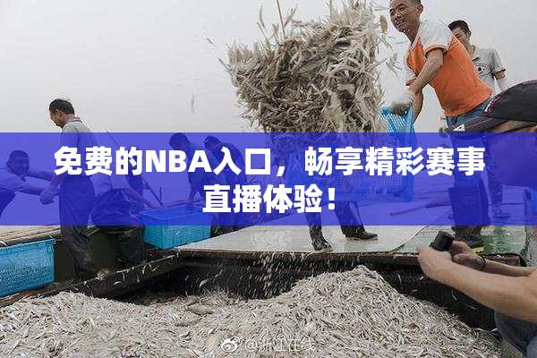 免费的NBA入口，畅享精彩赛事直播体验！