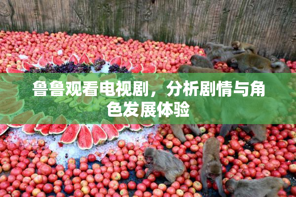 鲁鲁观看电视剧，分析剧情与角色发展体验