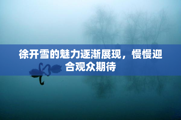 徐开雪的魅力逐渐展现，慢慢迎合观众期待