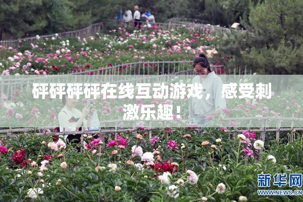 砰砰砰砰在线互动游戏，感受刺激乐趣！
