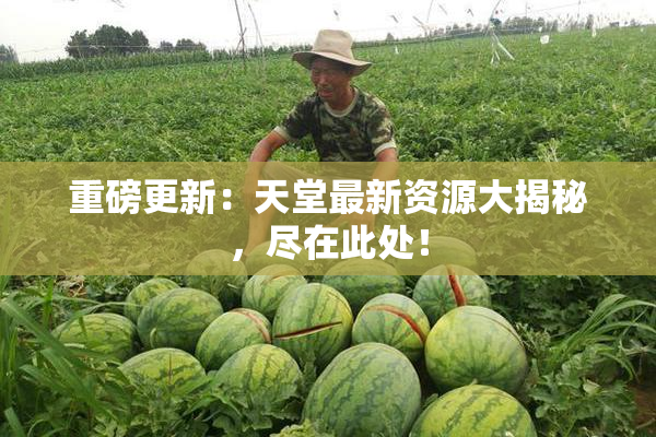 重磅更新：天堂最新资源大揭秘，尽在此处！