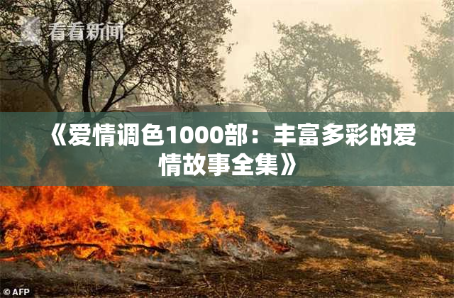 《爱情调色1000部：丰富多彩的爱情故事全集》