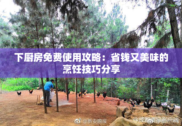 下厨房免费使用攻略：省钱又美味的烹饪技巧分享
