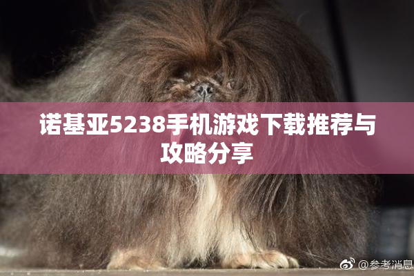 诺基亚5238手机游戏下载推荐与攻略分享